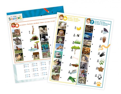 Mini_tudomany_Multilampa_Diavetito_ejszakai_feny_zseblampa_Buki