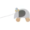 Tryco_Huzhato_elefant_Fajatek