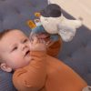 Csorgo_Siraly_Little_Dutch