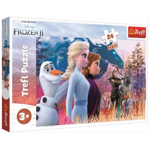 trefl-maxi-puzzle-jegvarazs-2-24db
