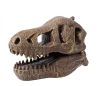 Tyrannosaurus koponya felfedező készlet - Buki