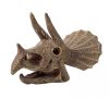 Triceratops koponya felfedező készlet - Buki