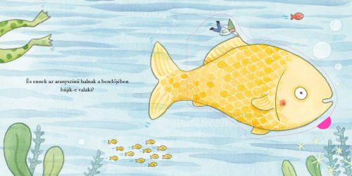 Búvóhelyek - kicsi folyóm