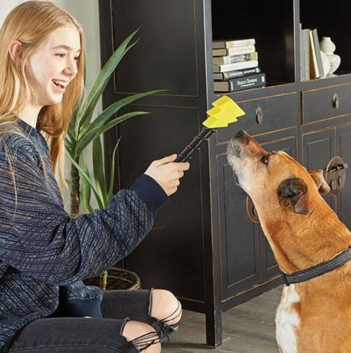 Brightkins Villám Varázspálca Jutalomfalat Adagoló