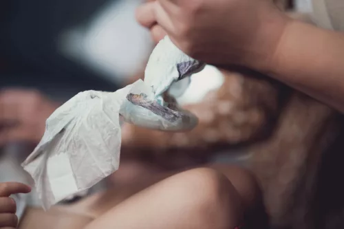 Kolorky Day öko pelenka, Tollak, XL méret (12-16 Kg) 17db