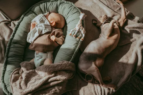 Kolorky Day öko pelenka, Tollak, XL méret (12-16 Kg) 17db