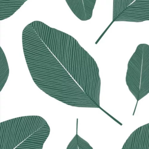 Kolorky Day Nature öko pelenka, Levelek, S méret (3-6 Kg) 25db