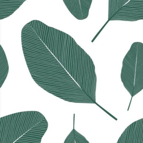 Kolorky Day Nature öko pelenka, Levelek, M méret (5-8 Kg) 21db