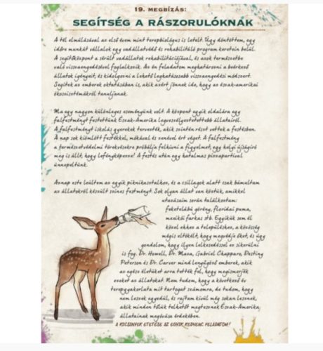 Irány a vadon! - Észak-Amerika - társasjáték