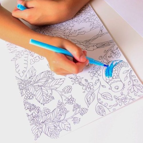 Magic Trace Kezdőszett - Állatkert