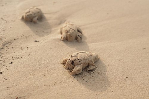 Little Dutch - Homokozó formák és lapát szett kék