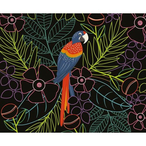 Auzou - Karckép készítő, madarak