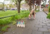 BS Toys - Bowling
