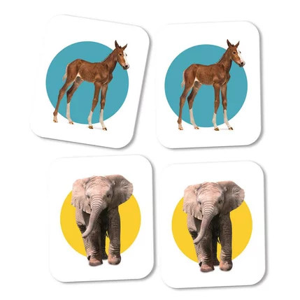 Állatkölykök - Memóriajáték - Clementoni