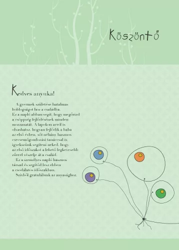 Napló a babám első évéről (fiús)