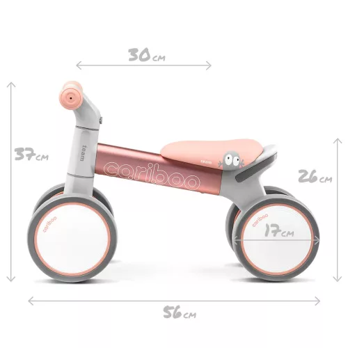 Cariboo Team kismotor - Pink