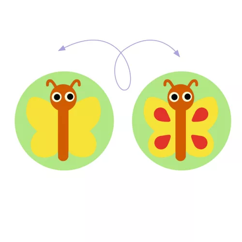 Djeco - Felfedező játék - Képsorrend - Gardimix