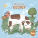 Little Dutch - Kifestő füzet - Little Farm