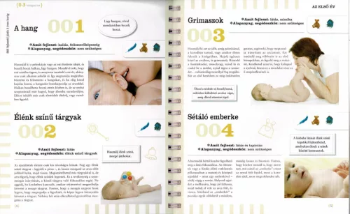 Neveljünk egészséges gyereket - 365 fejlesztő játék 3 éves korig 