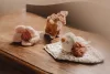 Little Dutch - Ajándékdoboz - Fairy Garden 