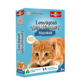 Lenyűgöző természet: Macskák