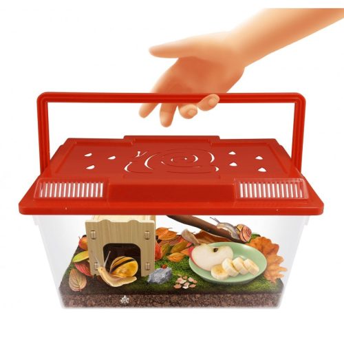 BUKI Csiga megfigyelő terrárium