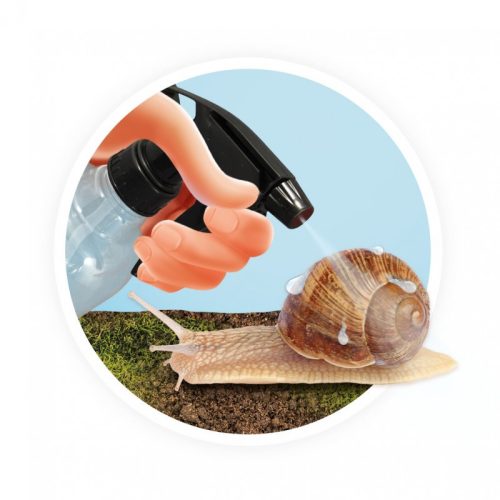 BUKI Csiga megfigyelő terrárium