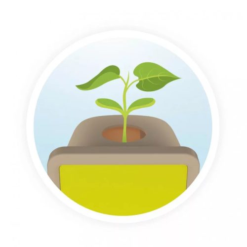 BUKI Növénytan, Csíráztató doboz