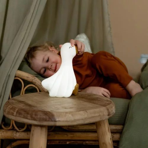 Little Dutch - Éjjeli fény nyuszi