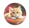 Matrica, tépőzáras, Classy Plus táskához, BELMIL "Cats"