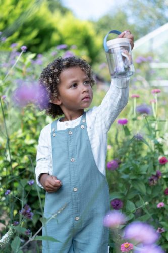 Little Dutch - Irány a természet - Forest Friends