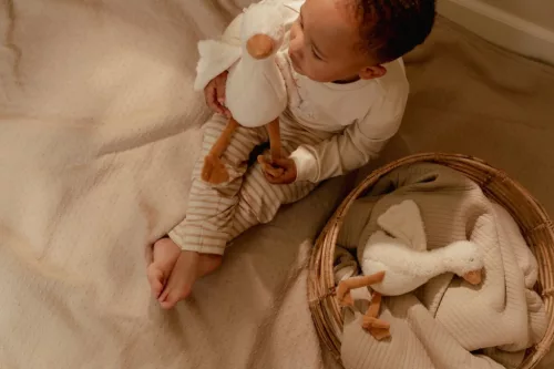 Little Dutch plüss gúnár 25 cm - Newborn Naturals