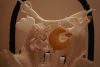 Little Dutch babakocsi lánc - Newborn Naturals