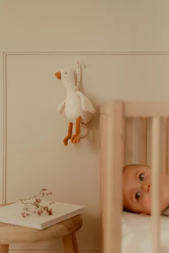 Little Dutch felhúzható zenélő gúnár - Newborn Naturals