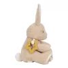 Little Dutch activity plüss nyuszi - Newborn Naturals