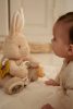 Little Dutch activity plüss nyuszi - Newborn Naturals
