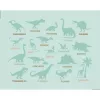 Auzou - Mágneses készségfejlesztő doboz, Dinoszauruszok