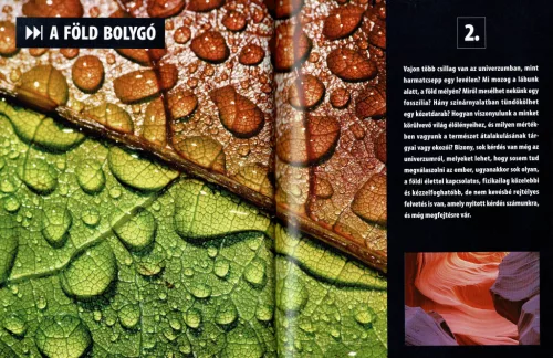 Olvassatok velünk! - 2500 érdekesség