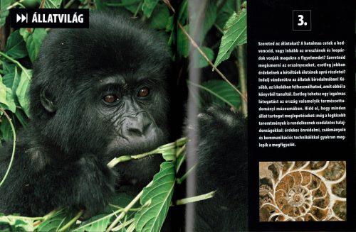 Olvassatok velünk! - 2500 érdekesség