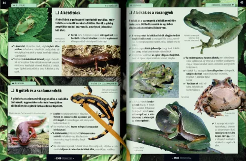 Olvassatok velünk! - 2500 érdekesség