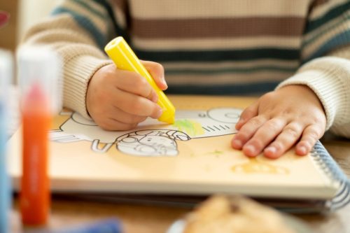 Little Dutch filctoll - Jim és barátai