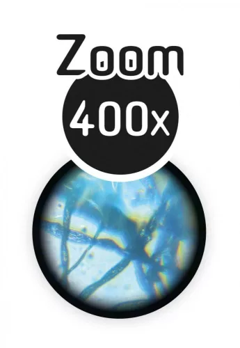 Mikroszkóp 20 kísérlettel - Buki