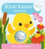 Lapozó - Csörgős poci - Kicsi kacsa és barátai
