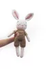 Graine Creative Amigurumi készlet - Az én nyuszim