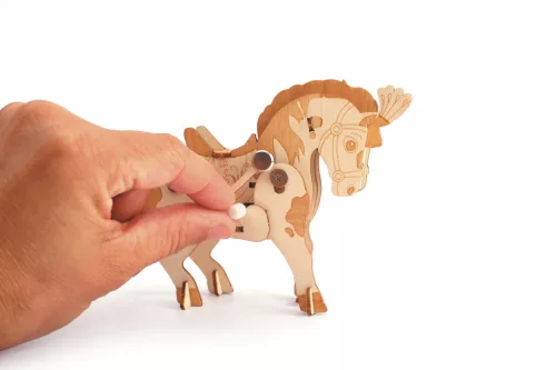 Graine Creative 3D fa modell – Paripa