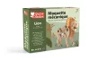 Graine Creative 3D fa modell – Oroszlán