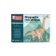 Graine Creative 3D fa modell – Diplodocus