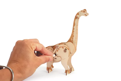 Graine Creative 3D fa modell – Diplodocus