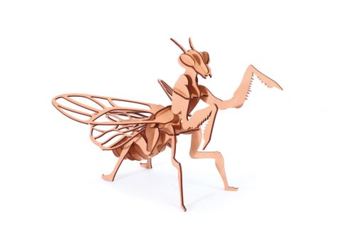 Graine Creative 3D puzzle – Imádkozó sáska