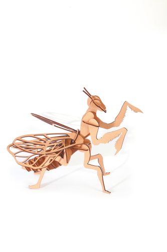 Graine Creative 3D puzzle – Imádkozó sáska